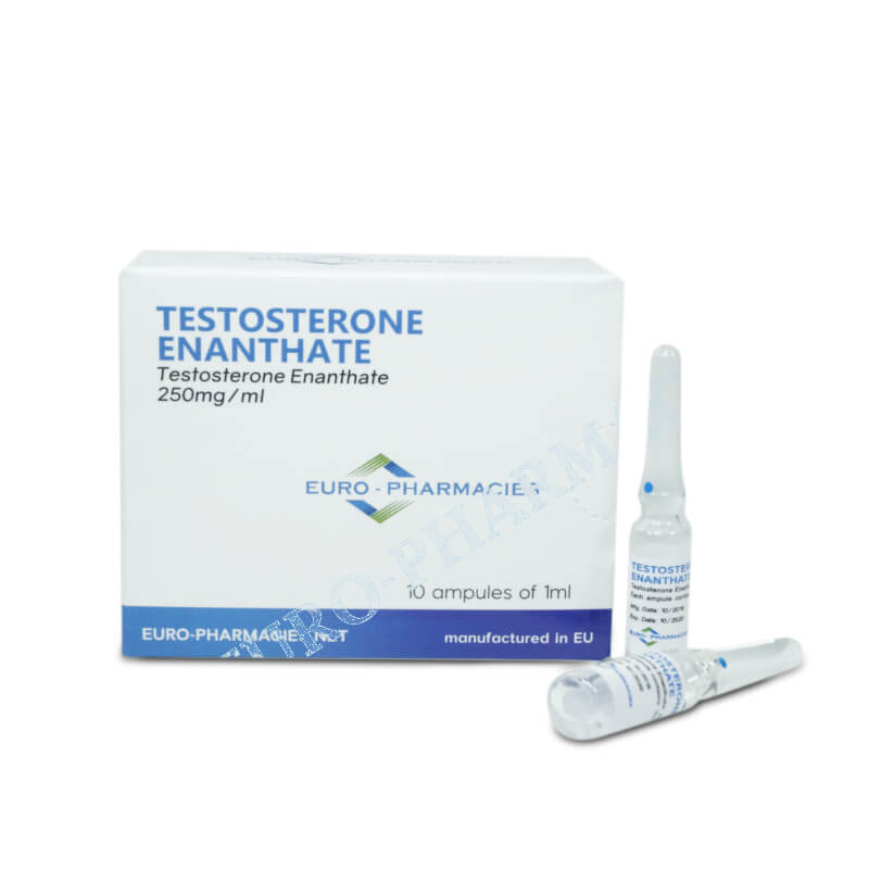 250mg testosteron enantat Blaupause - Spülen und wiederholen